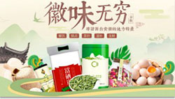 非羽電商大促