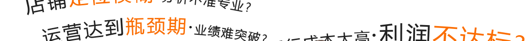 專業店鋪運營